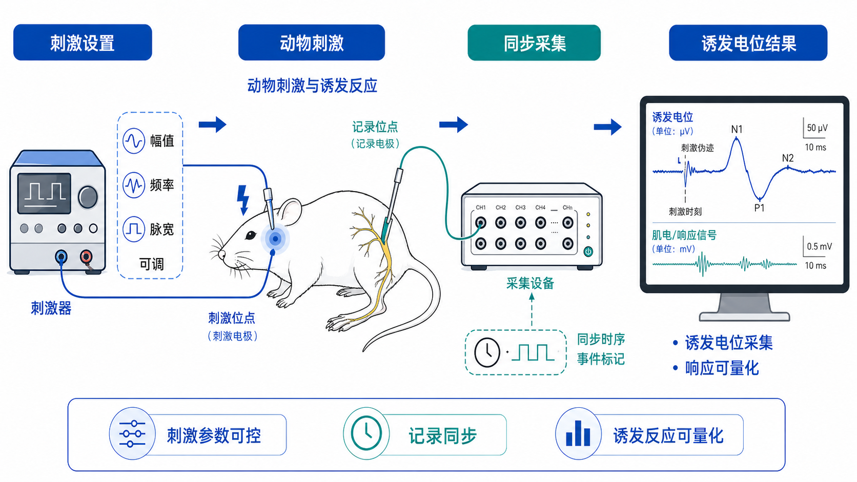 神经调控与诱发反应案例图